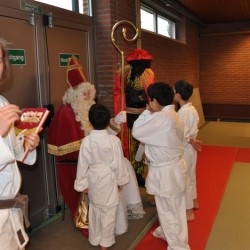DSC 0115  Medium - Judoclub Zaventem 